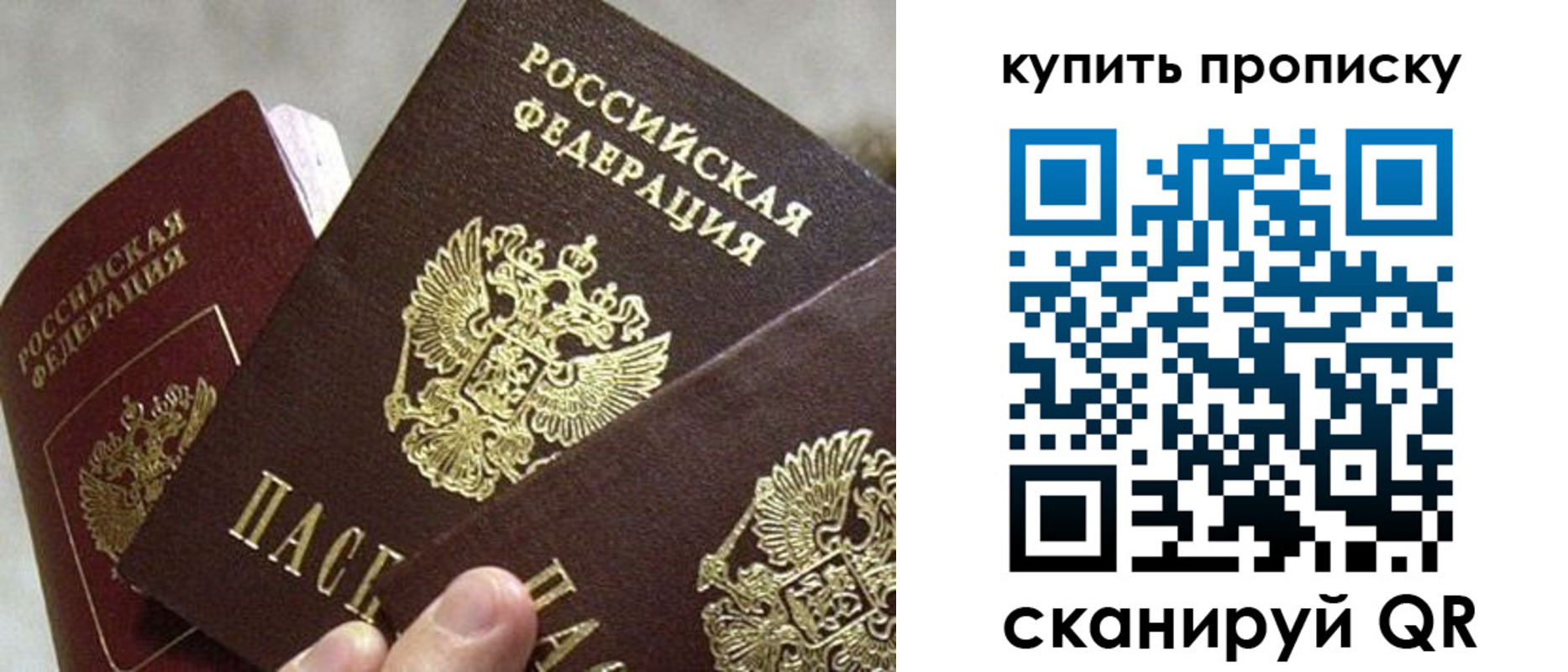 прописка для школы в Курской области