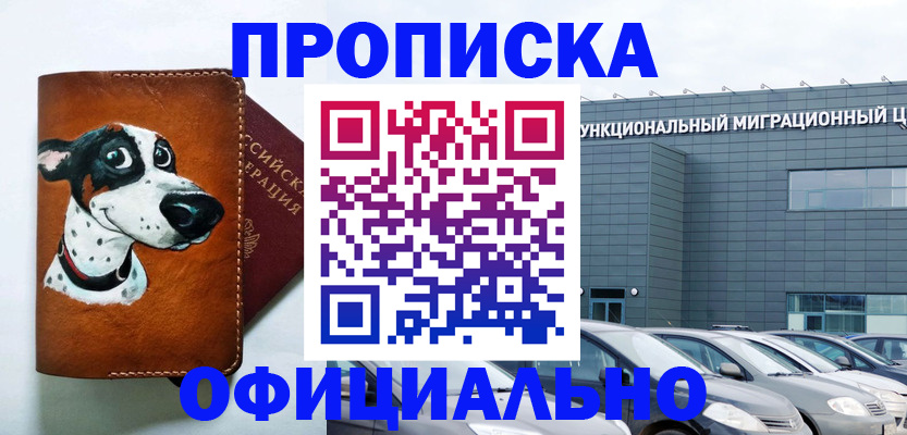 временная прописка в Курской области